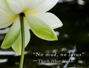No Mud, No Lotus - Thick Nhat Hahn